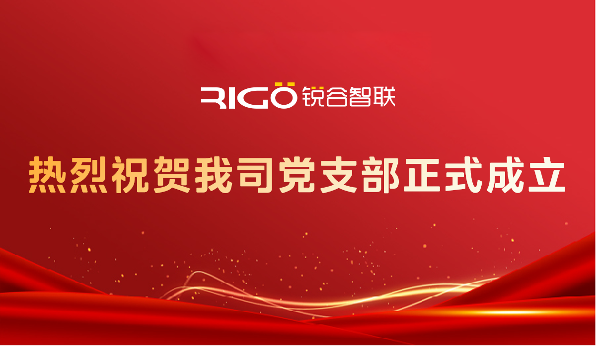 熱烈祝賀我司黨支部正式成立！